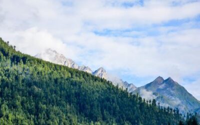 Qui possimus neque et iure omnis