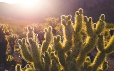 Fugiat voluptas sit quae eveniet ab