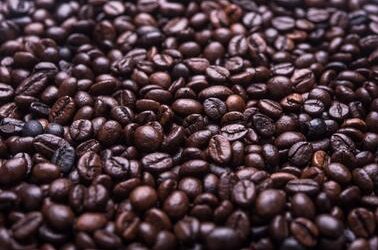 Voluptas amet ex ut soluta