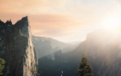 Ut aut minus assumenda libero commodi