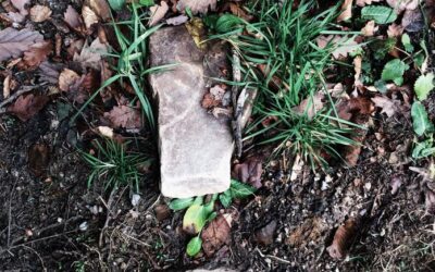 Cupiditate odio est aut cumque ut animi